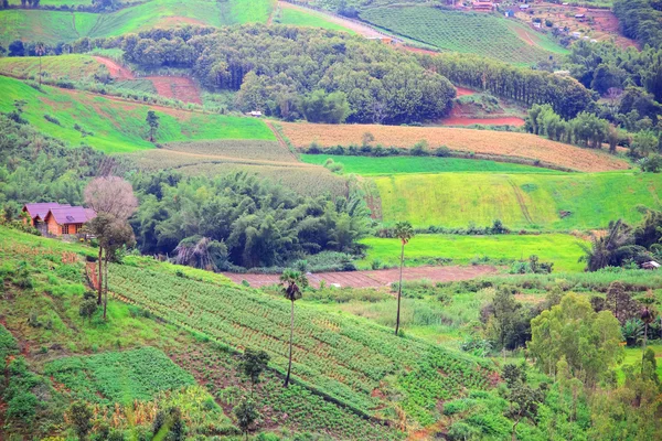 Cultivated land on mountains, Phu Tub Berg, Phetchabun province, Thailand — Stock Photo, Image