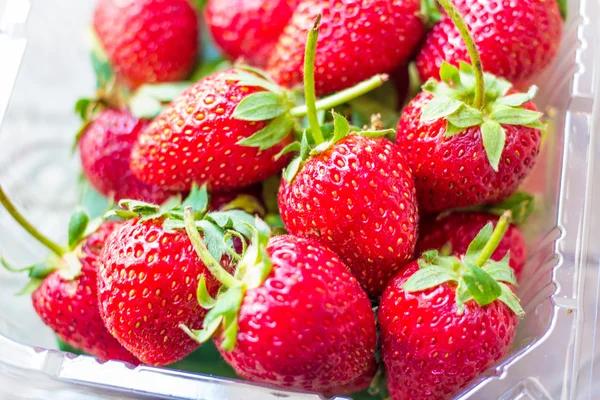 Fresh strawberry in plastic box — Stock Photo, Image