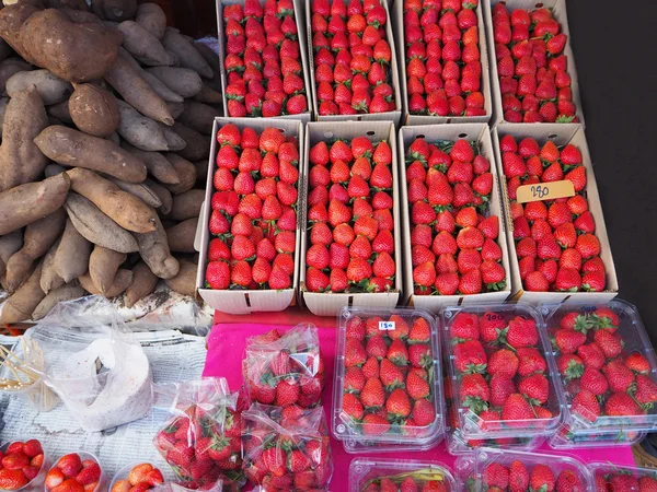 Frische Erdbeeren auf dem Markt bei doi inthanon — Stockfoto