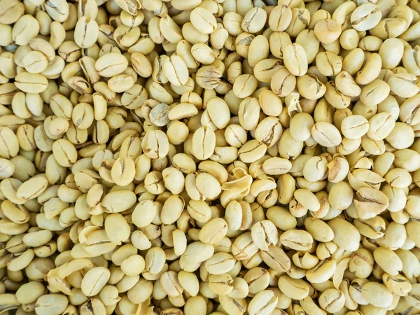 Зеленые кофейные зерна — стоковое фото