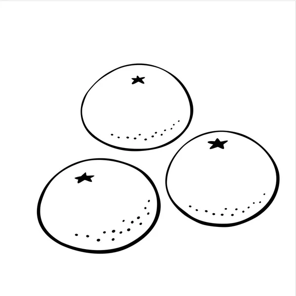 Beyaz Üzerine Izole Edilmiş Portakal Mandalina Mandalina Seti Siyah Hatlı — Stok Vektör