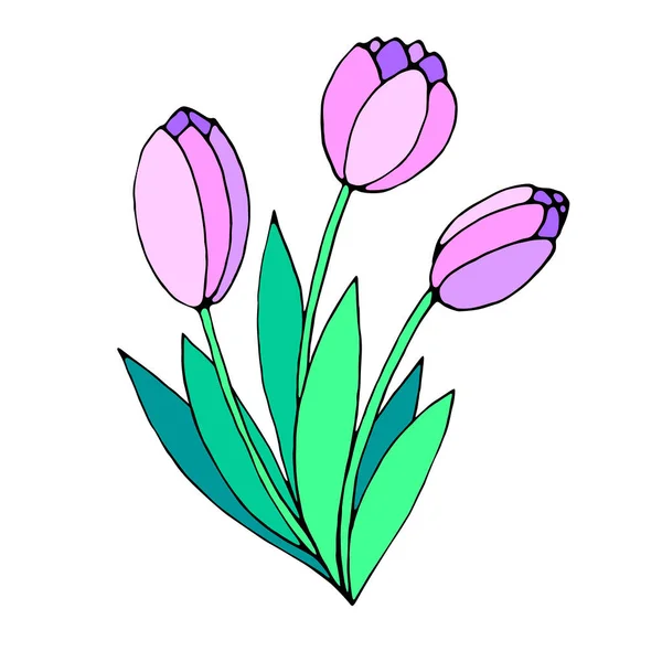 Ramo Tres Flores Rosadas Tulipanes Vector Dibujado Mano Elemento Diseño — Archivo Imágenes Vectoriales