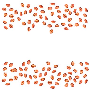 Üstte ve altta fırınlanmış kahve çekirdekleri. Bir menü veya paketleme şablonunun suluboya el çizimi.