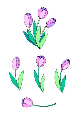 Üç pembe lale buketi. Vektör el çizimi tasarım ögesi. Baharın, sevginin, çiçeklenmenin sembolü. Tebrik kartı, düğün, doğum günü, anneler ya da kadınlar ya da sevgililer günü için klip sanatı.