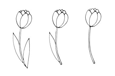 Yapraklı ya da yapraksız lale çiçeği. El çizimi tasarım elemanı. Karalama çizimi tarzında basit siyah çizim çizimi. Baharın sembolü, aşk, çiçek.