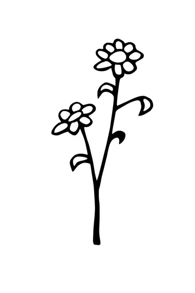 Ручной Рисунок Абстрактных Цветов Ветке Черно Белые Стилизованные Ботанические Элементы — стоковый вектор
