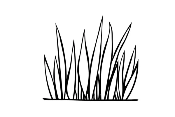 一丛草 手绘简单的黑色轮廓矢量插图涂鸦风格 隔离在白色背景 自然设计元素 自然主题剪贴画 彩色页面 — 图库矢量图片