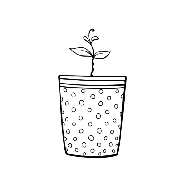 Maceta Con Brote Planta Plántulas Dibujado Mano Simple Ilustración Vectorial — Vector de stock