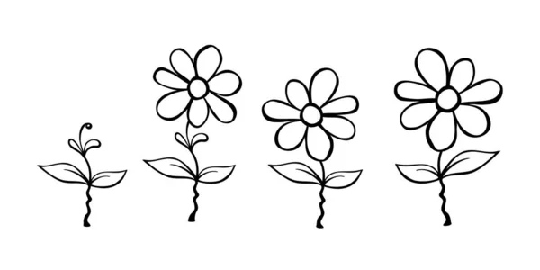 Set Von Handgezeichneten Niedlichen Blumen Stiel Clip Art Schwarz Weiß — Stockvektor