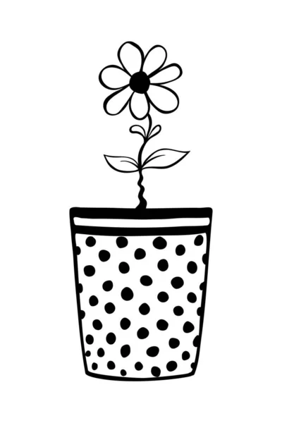 Maceta Con Flor Dibujado Mano Simple Ilustración Vectorial Contorno Negro — Vector de stock