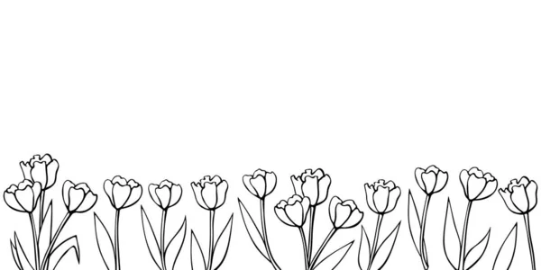 Ряд Контурных Цветов Тюльпана Векторный Ручной Рисунок Весеннего Фона Изолирован — стоковый вектор
