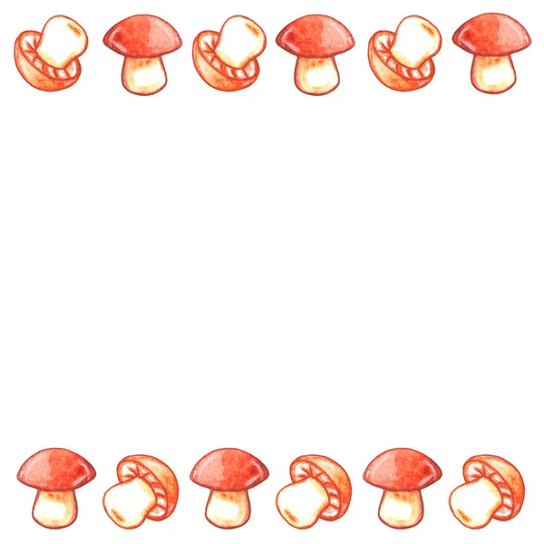 Hintergründe Aquarellrahmen Aus Handgezeichneten Essbaren Pilzen Horizontale Ober Und Unterkante — Stockfoto