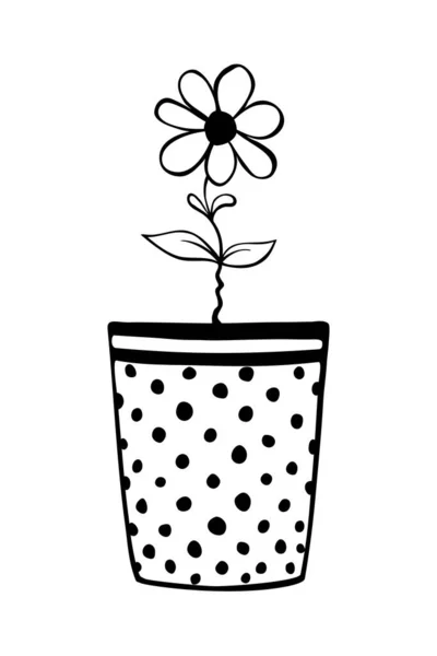 有花的锅 手绘简单的黑色轮廓矢量插图的涂鸦风格 设计元素 装饰剪贴画 — 图库矢量图片