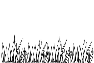Beyaz arka planda izole edilmiş çimlerin taşıyıcı siyah çizgisi. Bitkisel sınır, yatay taban kenarı, çim panoramik manzara. Renklendirme, kartpostal, illüstrasyon için şablon, tasarım ögesi.