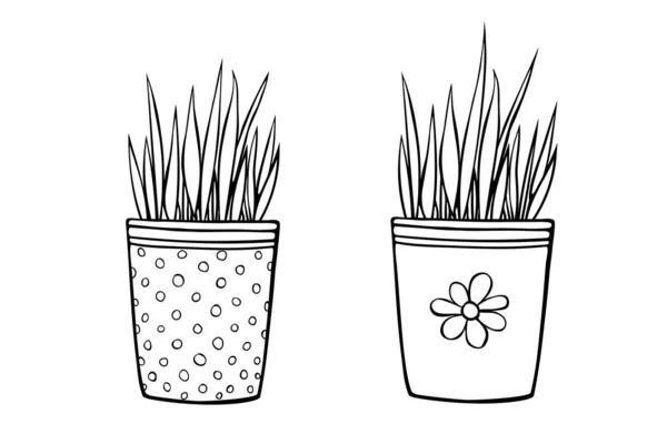 Květináče Dekorativní Trávou Rostliny Ručně Kreslené Jednoduché Černé Obrysové Vektorové — Stockový vektor