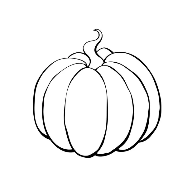 Vector Outline Pumpkin Doodle Style Black Contour Isolated White Background — Stock Vector