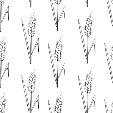 Buğday dikenleri, vektör dikişsiz desen. Beyaz arkaplanda izole edilmiş eskiz tarzında çizilmiş siyah bir çizgi. Kumaş tasarımı, ambalaj kağıdı, fırın ürünleri, un, hasat teması üzerine ambalaj.