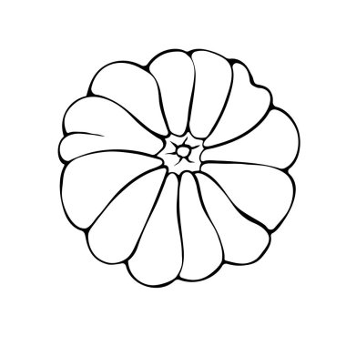 Karalama tarzında kabak şeklindeki vektör çizgisi, üst görünüm. Beyaz arkaplanda siyah bir hat var. Sembol Cadılar Bayramı, sonbahar, mahsul, şükran günü, verimli bir yıl..