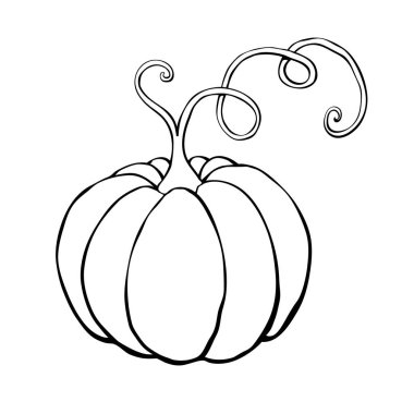 Çizik şeklinde bıyıklı bir kabak kabağı. Siyah hat beyaz arka planda izole edilmiş. Sembol Cadılar Bayramı, sonbahar, mahsul, şükran günü, verimli bir yıl..