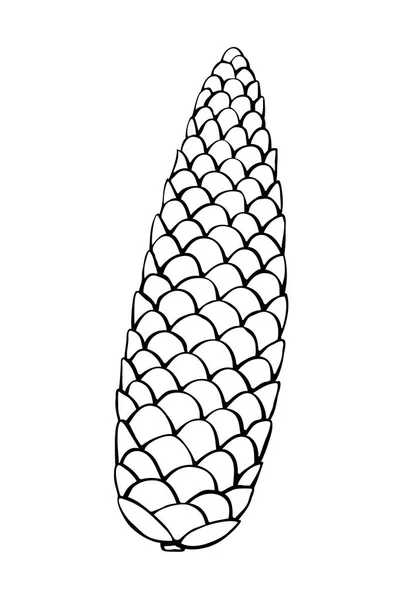ベクトルモミのスプルースコーンドアスタイルで 手描きアウトラインイラスト Clipart — ストックベクタ