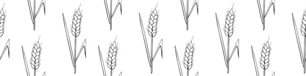 Колючки Пшеницы Векторный Бесшовный Рисунок Изолированный Контур Стиле Эскиза Проектирование — стоковый вектор