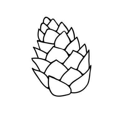 Karalama tarzında vektör çam kozalağı. El çizimi taslak çizimi illüstrasyon, clipart, tasarım ögesi izole.