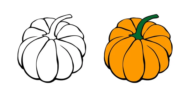 Set Pumpkin Icon Sketch Style Isolated White Background Outline Doodle — Stock Vector