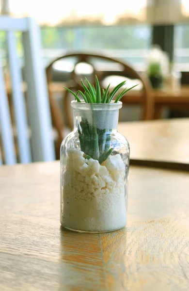 Glass Planter Wheat Grass Wooden Table Vertical Photo — Stock Photo, Image