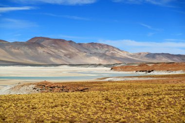 Salar de Talar, Kuzey Şili And Dağları, Güney Amerika 'nın 3.950 m yüksekliğindeki yüksek plato tuz gölleri serisinin bir parçası.