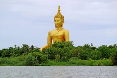 Tayland 'ın Orta Bölgesi, Ang Tanga Eyaleti, Rıhtım Ormanı Arasındaki Büyüleyici Altın Buda Görüntüsü