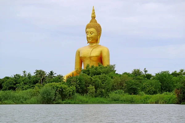 Impressionante Grande Imagem Buda Dourado Entre Floresta Marítima Província Ang — Fotografia de Stock