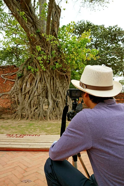 泰国阿尤塔亚的瓦特马哈迪寺废墟中 白帽人在菩提树根中拍摄了著名古佛像头像的照片 — 图库照片