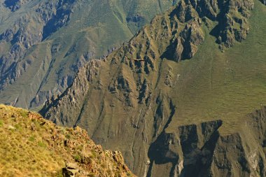 Uçan And Akbabası Cruz del Condor Manzaralı Colca Kanyonu, Arequipa Bölgesi, Peru