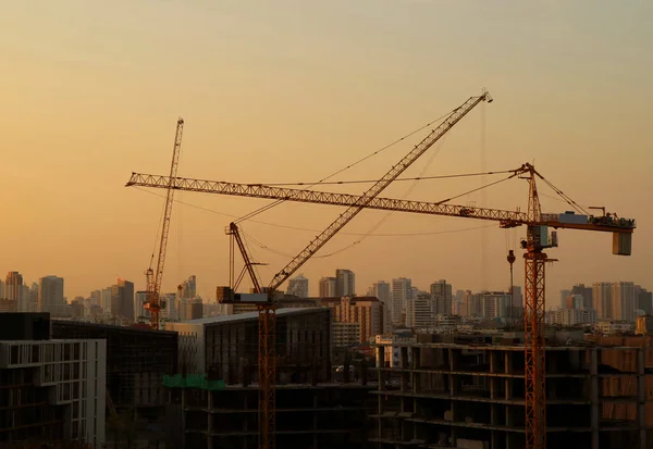 Les Grues Construction Continuent Déplacer Sous Ciel Doré Après Coucher — Photo