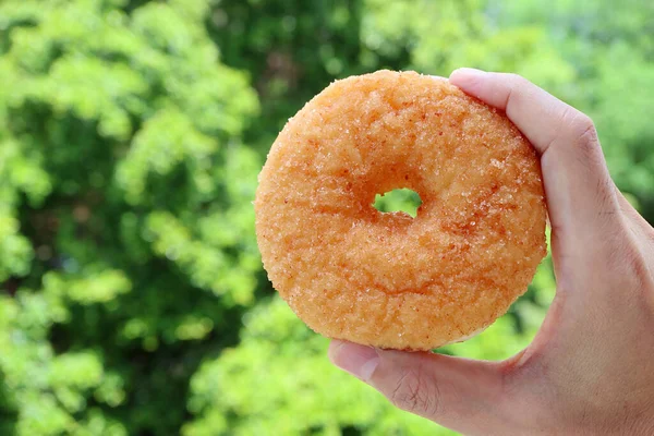 Mão Homem Close Segurando Donut Canela Açúcar Com Folhagem Verde — Fotografia de Stock