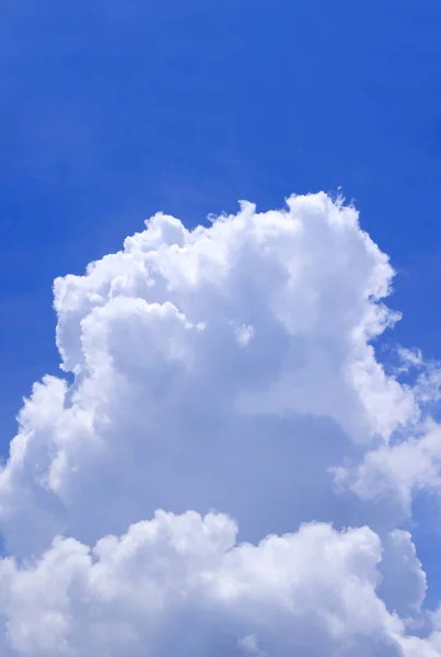 Vertical Image of Pure White Cumulus Clouds on Vibrant Blue Sunny Sky