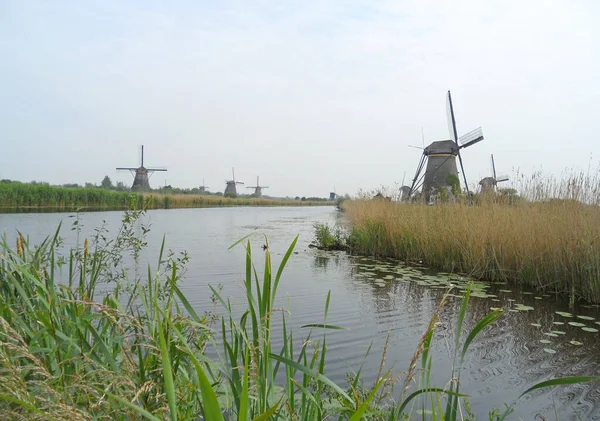 Kinderdijk Historic Dutch Windmill Complex Molenwaard Países Bajos —  Fotos de Stock