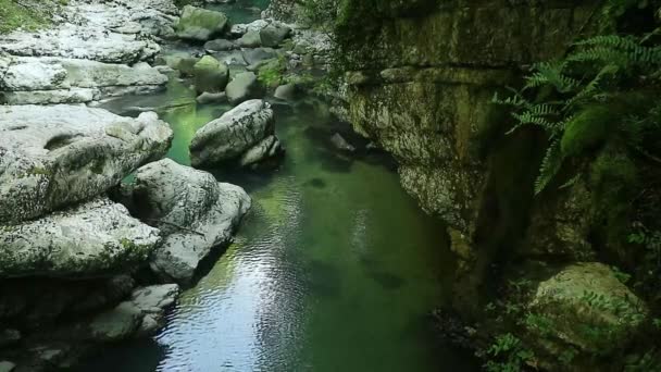 Colore verde intenso del fiume Abasha nei canyon Martvili, regione di Samegrelo, Georgia, Bellezza nella natura — Video Stock