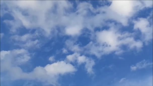 Beyaz Kabarık Bulut Mavi Gökyüzünde Yüzüyor — Stok video