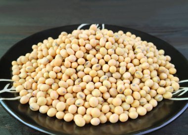 Siyah tabakta kurumuş soya fasulyesi yığını.