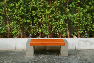 Parktaki yeşil çit bitkilerinin önündeki boş bank