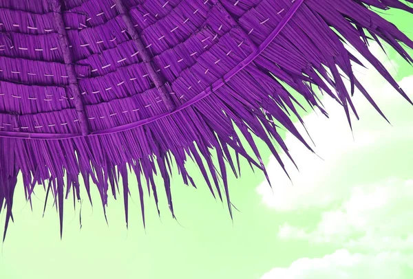 Surreal Style Pop Art Vivid Purple Thatched Beach Slunečník Mint — Stock fotografie