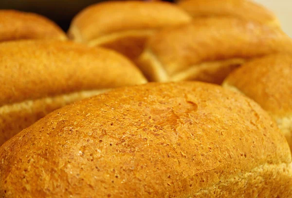 Крупный План Ряды Золотисто Коричневого Свежеиспеченного Хлеба Цельной Пшеницы — стоковое фото