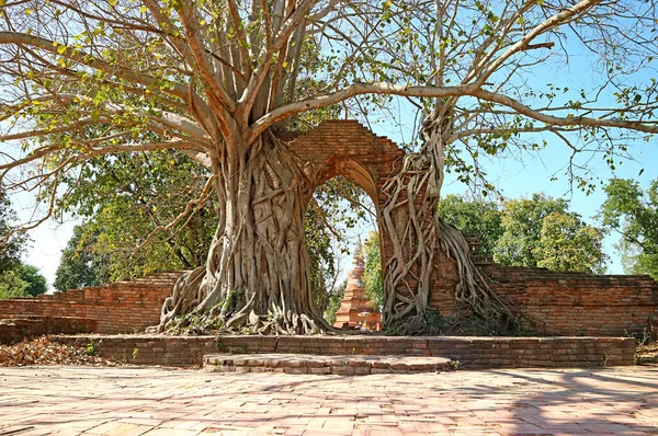 Fantastický Gate Time Vstup Chrámu Wat Phra Ngam Ruins Ayutthaya — Stock fotografie