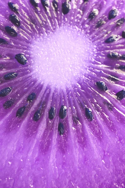 Surreal Pop Art Style Kiwi Fruit Cross Section Purple Color — Stock Photo, Image