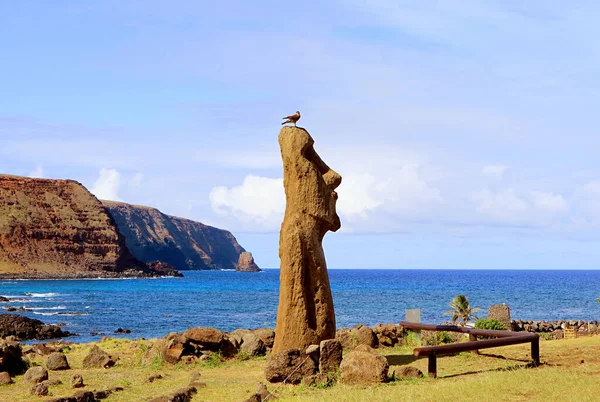 Moai Vere Haho Também Conhecido Como Moai Viajante Entrada Ahu — Fotografia de Stock