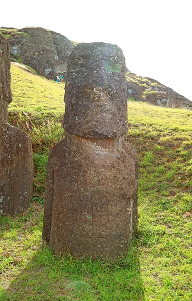 Una Las Enormes Estatuas Abandonadas Moai Volcán Rano Raraku Cantera —  Fotos de Stock