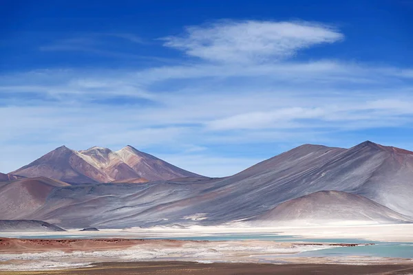 Salar Talar High Plateau Salt Lakes Los Flamencos National Reserve — Stock Photo, Image