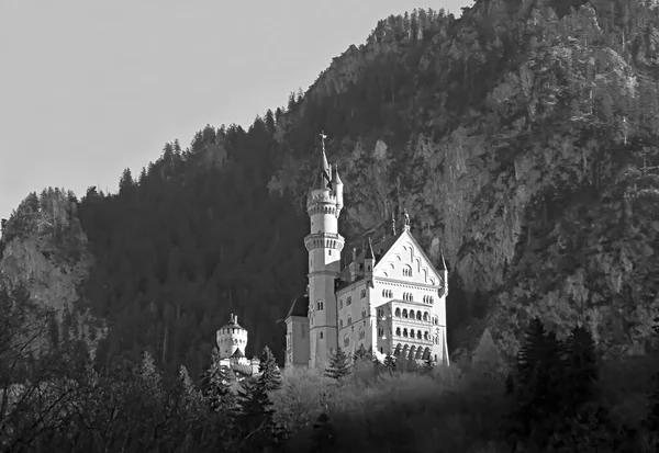 Imagem Monocromática Castelo Neuschwanstein Localizado Colina Perto Fussen Baviera Alemanha — Fotografia de Stock