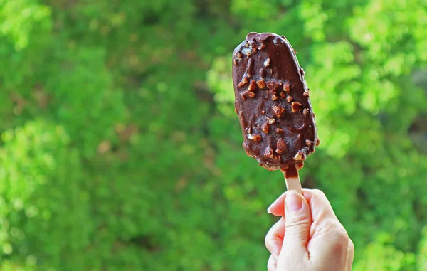 Mão Segurando Uma Barra Sorvete Com Chocolate Mergulhado Contra Folhagem — Fotografia de Stock